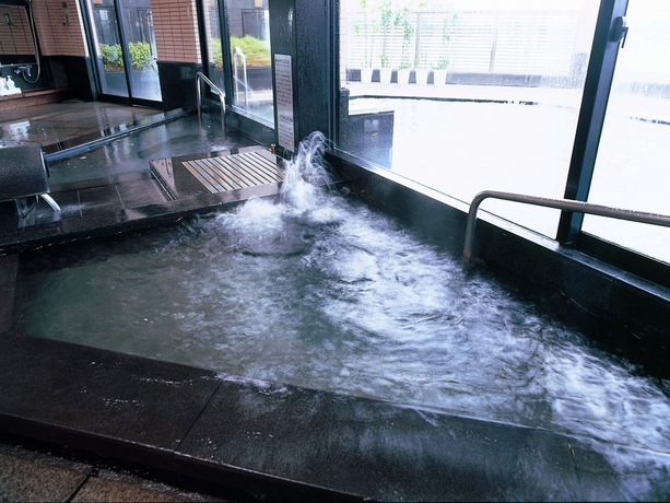 Imagen de la piscina del Hotel Kaga Kanko. Foto 11