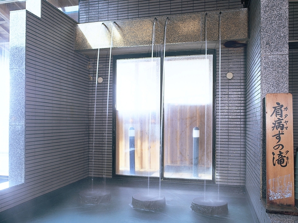 Imagen de la piscina del Hotel Kaga Kanko. Foto 14