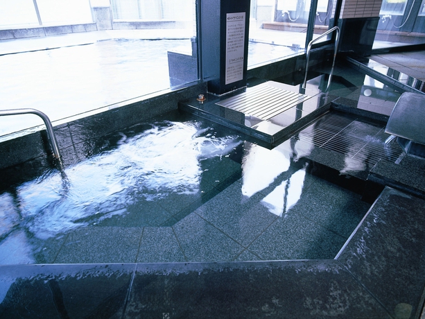 Imagen de la piscina del Hotel Kaga Kanko. Foto 16