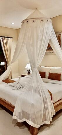 Imagen de la habitación del Hotel Kailash Bali. Foto 23