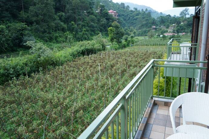 Imagen general del Hotel Kainaat A Riverside Homestay. Foto 3