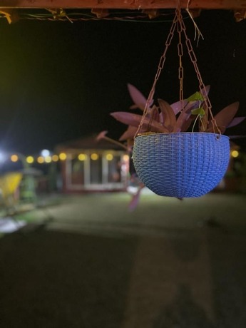 Imagen general del Hotel Kainaat A Riverside Homestay. Foto 7