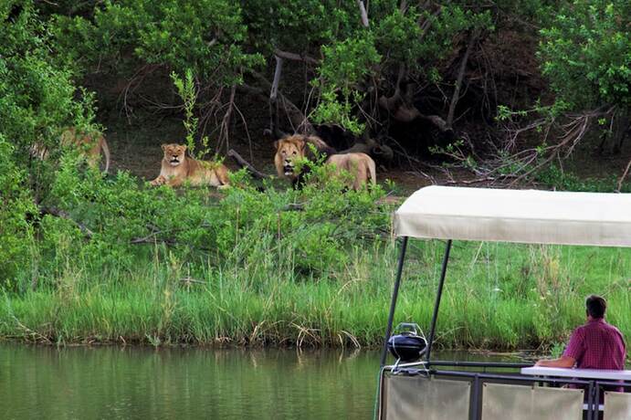 Imagen general del Hotel Kaingo Game Reserve. Foto 1