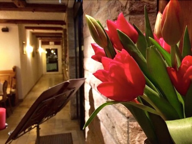 Imagen general del Hotel Kainsbacher M&uuml;hle. Foto 9