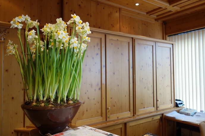 Imagen de los interiores del Hotel Kaiser Am Wiener Platz. Foto 19