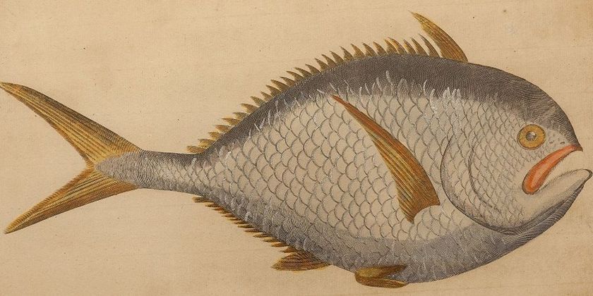 Imagen de los interiores del Hotel Kaiserstuhl. Foto 10