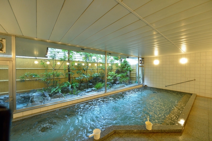 Imagen de la piscina del Hotel Kaisyu. Foto 16