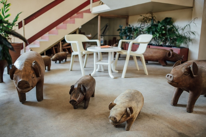 Imagen de los interiores del Hotel Kaiviti Motel. Foto 15