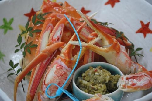 Imagen general del Hotel Kaiyu Notonosho. Foto 3