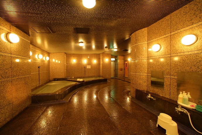 Imagen de los interiores del Hotel Kajigaya Plaza. Foto 14