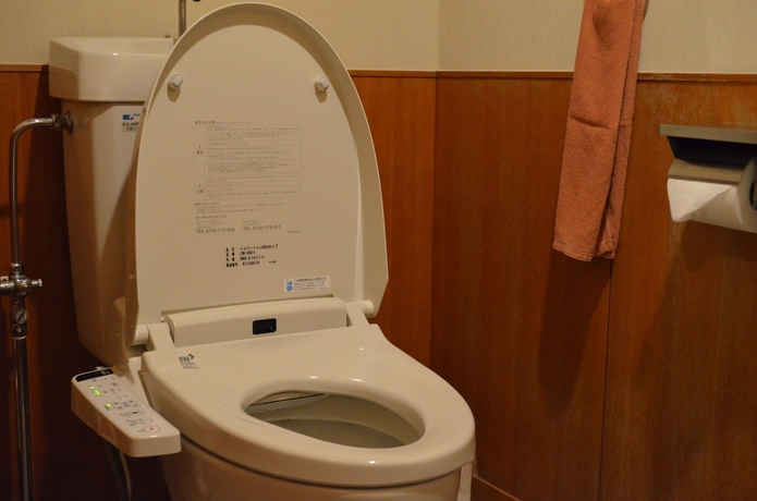 Imagen de la habitación del Hotel Kajikaso. Foto 11