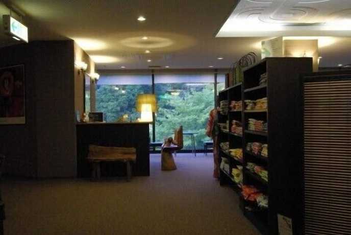 Imagen de los interiores del Hotel Kakusenan. Foto 20