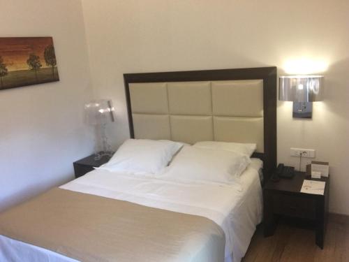 Imagen de la habitación del Hotel Kalavrita Canyon Hotel & Spa. Foto 5