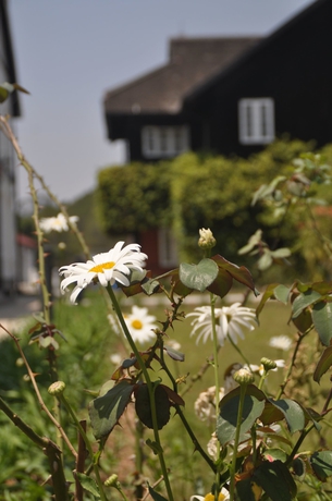 Imagen de los exteriores del Hotel Kalaw Heritage. Foto 13