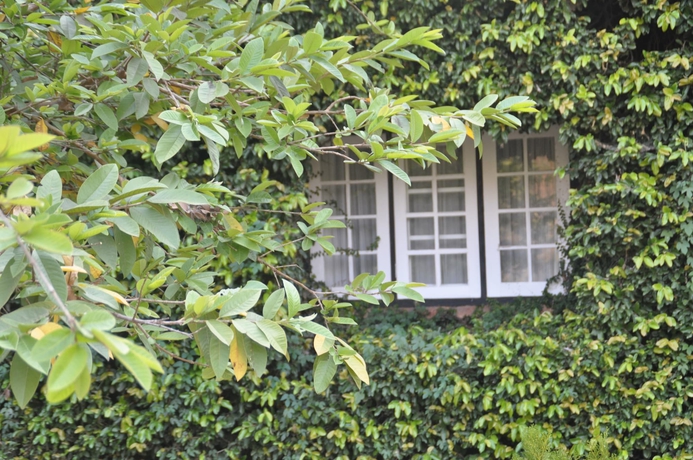 Imagen general del Hotel Kalaw Heritage. Foto 6