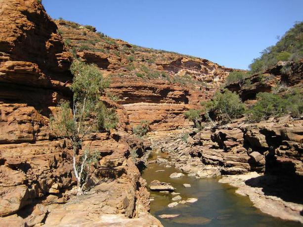 Imagen general del Hotel Kalbarri Palm Resort. Foto 4