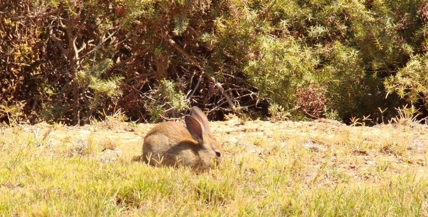 Imagen de los exteriores del Hotel Kalimera Paros. Foto 18