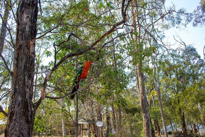 Imagen de los interiores del Hotel Kalimna Woods Cottages. Foto 26