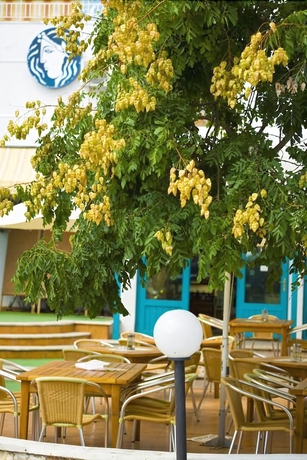 Imagen del bar/restaurante del Hotel Kaliopa. Foto 8