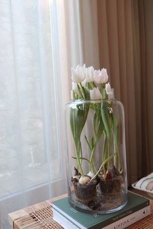 Imagen de los interiores del Hotel Kalk. Foto 19