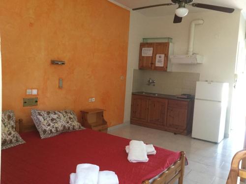 Imagen general del Hotel Kallithea, Loutra Edipsou. Foto 4
