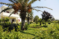 Imagen de la habitación del Hotel Kalloni bay. Foto 7