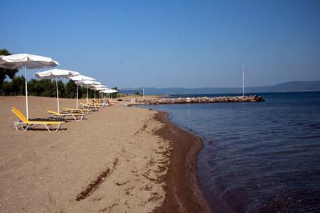 Imagen de los exteriores del Hotel Kalloni village. Foto 8