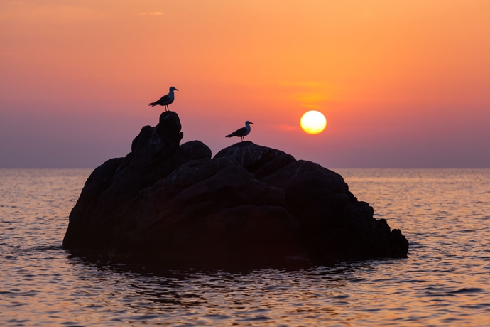 Imagen de los exteriores del Hotel Kalura. Foto 13