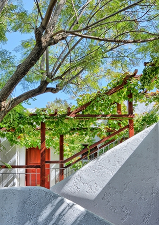 Imagen de los exteriores del Hotel Kalypso, Malia. Foto 12