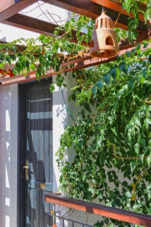 Imagen de los exteriores del Hotel Kalypso, Malia. Foto 15