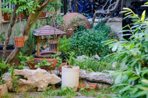 Imagen general del Hotel Kalypso, Primorsko. Foto 6