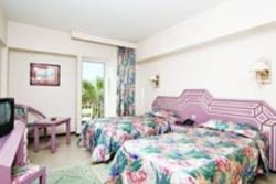 Imagen general del Hotel Kamal Hotel. Foto 3