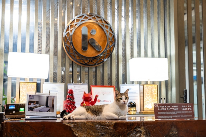 Imagen de los interiores del Hotel Kamalig Ng Caraga - Near SM Mall Butuan. Foto 19