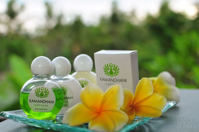 Imagen de la habitación del Hotel Kamandhani Ubud. Foto 11