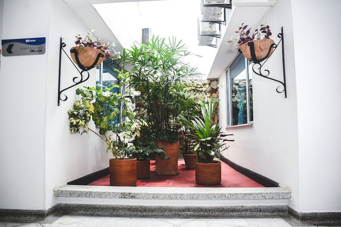 Imagen de la habitación del Hotel Kamani Florencia. Foto 12