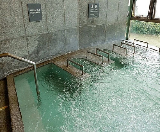 Imagen general del Hotel Kamenoi Ako. Foto 4