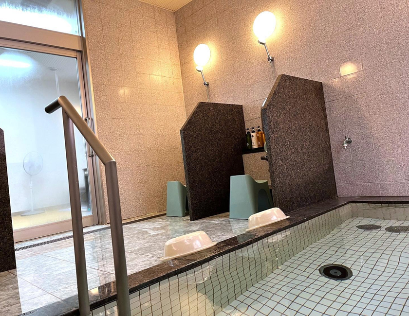 Imagen general del Hotel Kameyama Storia. Foto 2