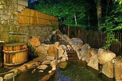 Imagen general del Hotel Kamikochi Onsen. Foto 3