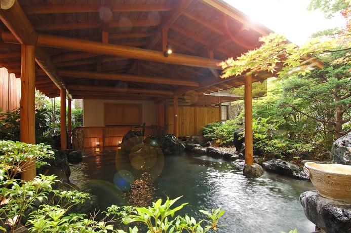 Imagen de la piscina del Hotel Kamimokuonsen Tatsumikan. Foto 9