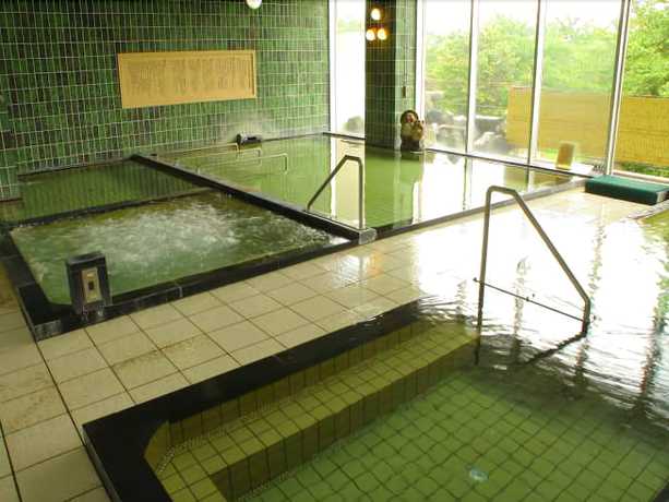 Imagen general del Hotel Kaminoyu Onsen. Foto 2