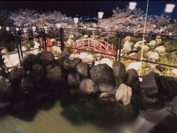 Imagen de la habitación del Hotel Kaminoyu Onsen. Foto 10