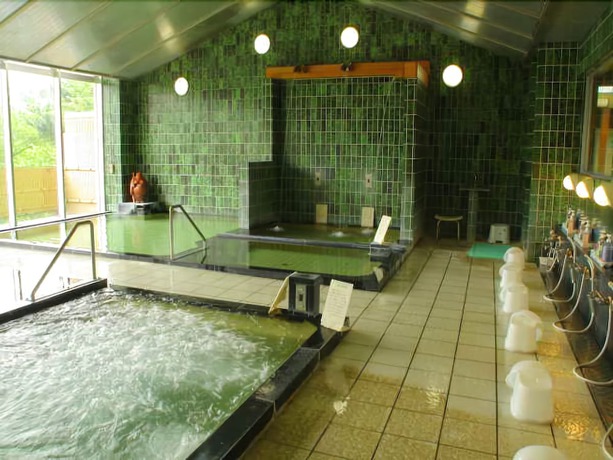 Imagen general del Hotel Kaminoyu Onsen. Foto 5