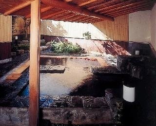 Imagen general del Hotel Kamiyamada, Chikuma. Foto 5