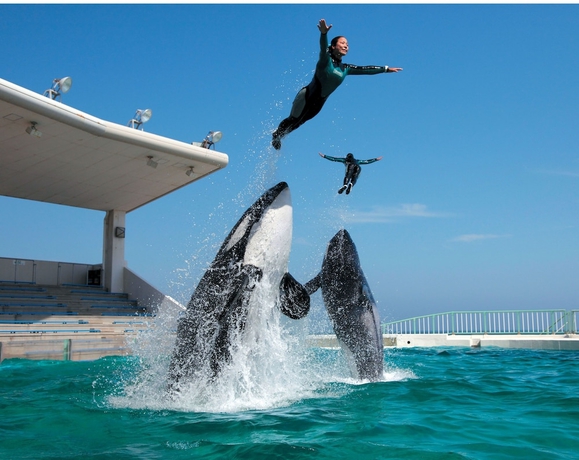 Imagen de los interiores del Hotel Kamogawa Sea World. Foto 11