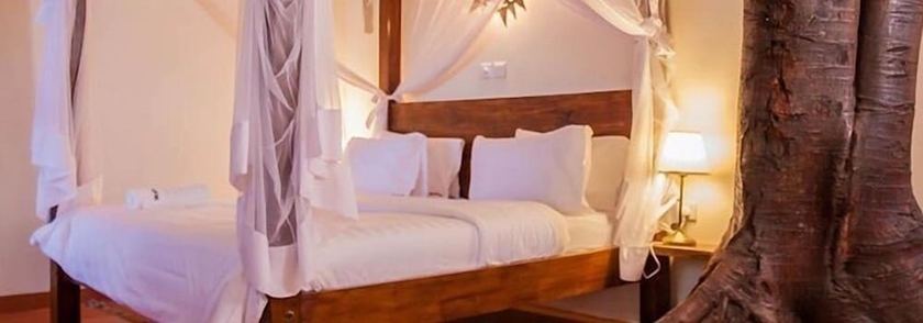 Imagen de la habitación del Hotel Kampala Forest Resort (KFR Lodge). Foto 13