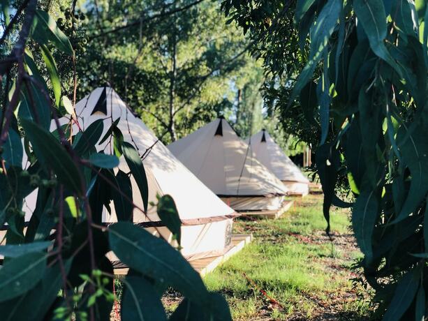 Imagen general del Hotel Kampea Playa de Gandia, Gand&iacute;a. Foto 8