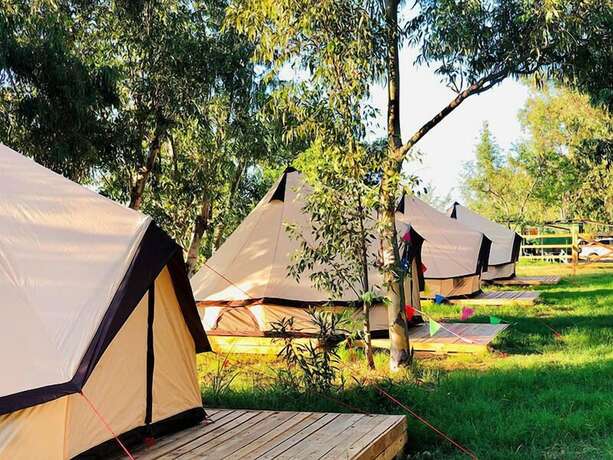 Imagen de la habitación del Hotel Kampea Playa de Gandia, Gand&iacute;a. Foto 20