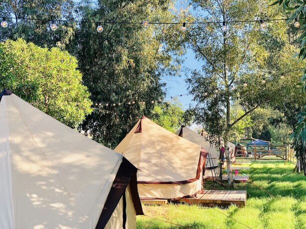 Imagen general del Hotel Kampea Playa de Gandia, Gand&iacute;a. Foto 9