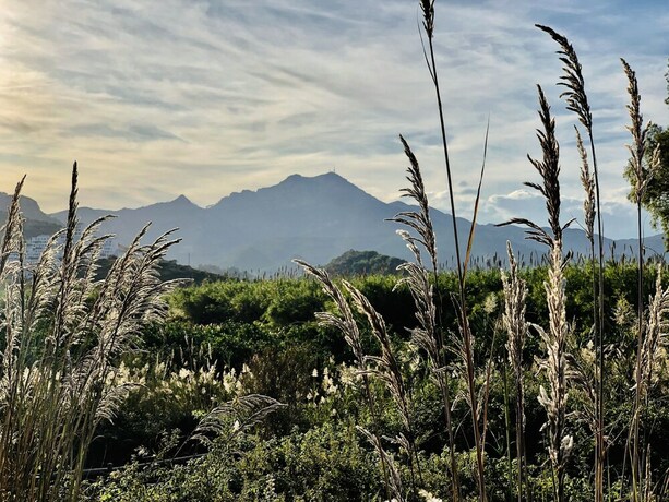 Imagen general del Hotel Kampea Playa de Gandia, Gand&iacute;a. Foto 11