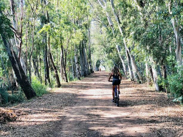 Imagen general del Hotel Kampea Playa de Gandia, Gand&iacute;a. Foto 16